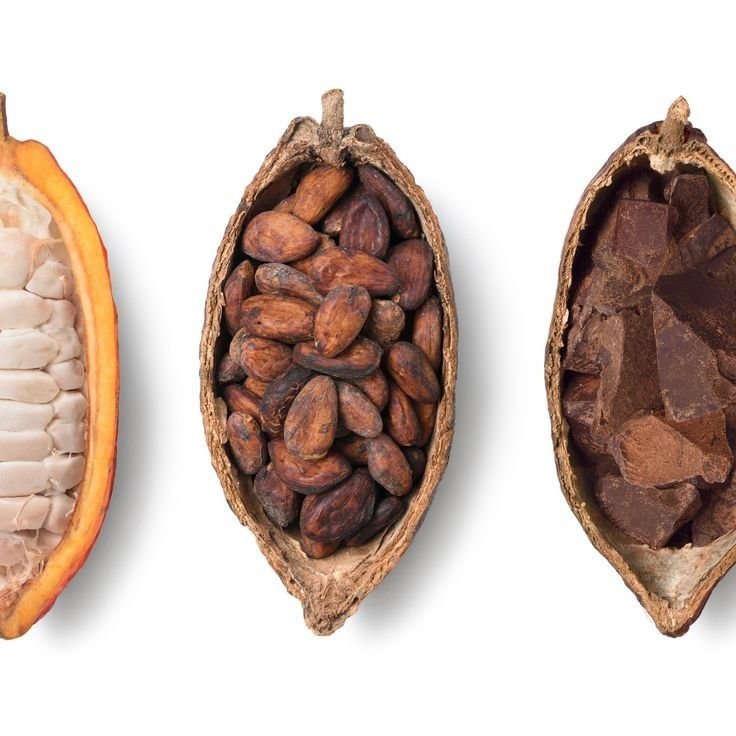 743d321981c17eafd68d2f33a6892e26