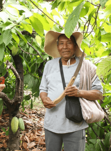 Diseño sin título (1) (1)